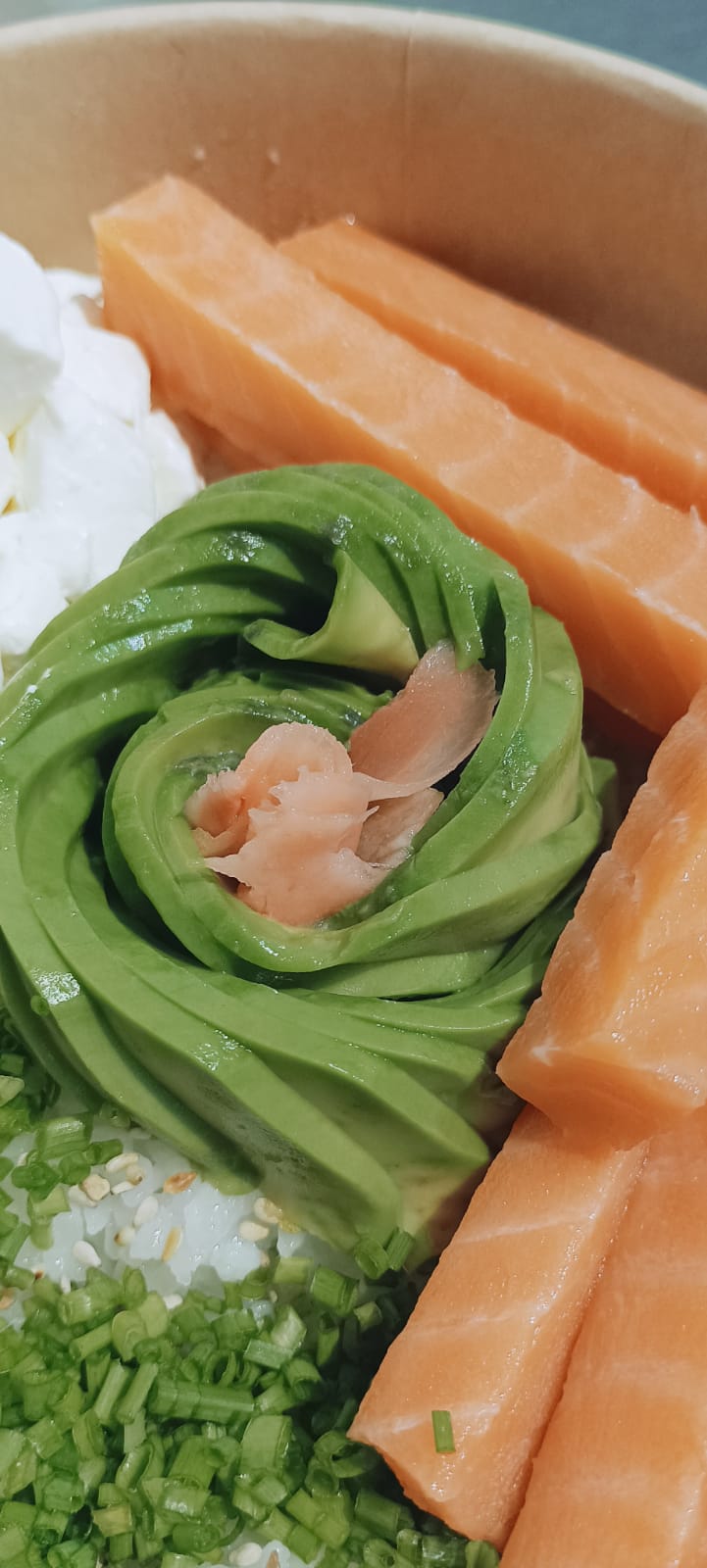 Gohan SalmonCrudo
