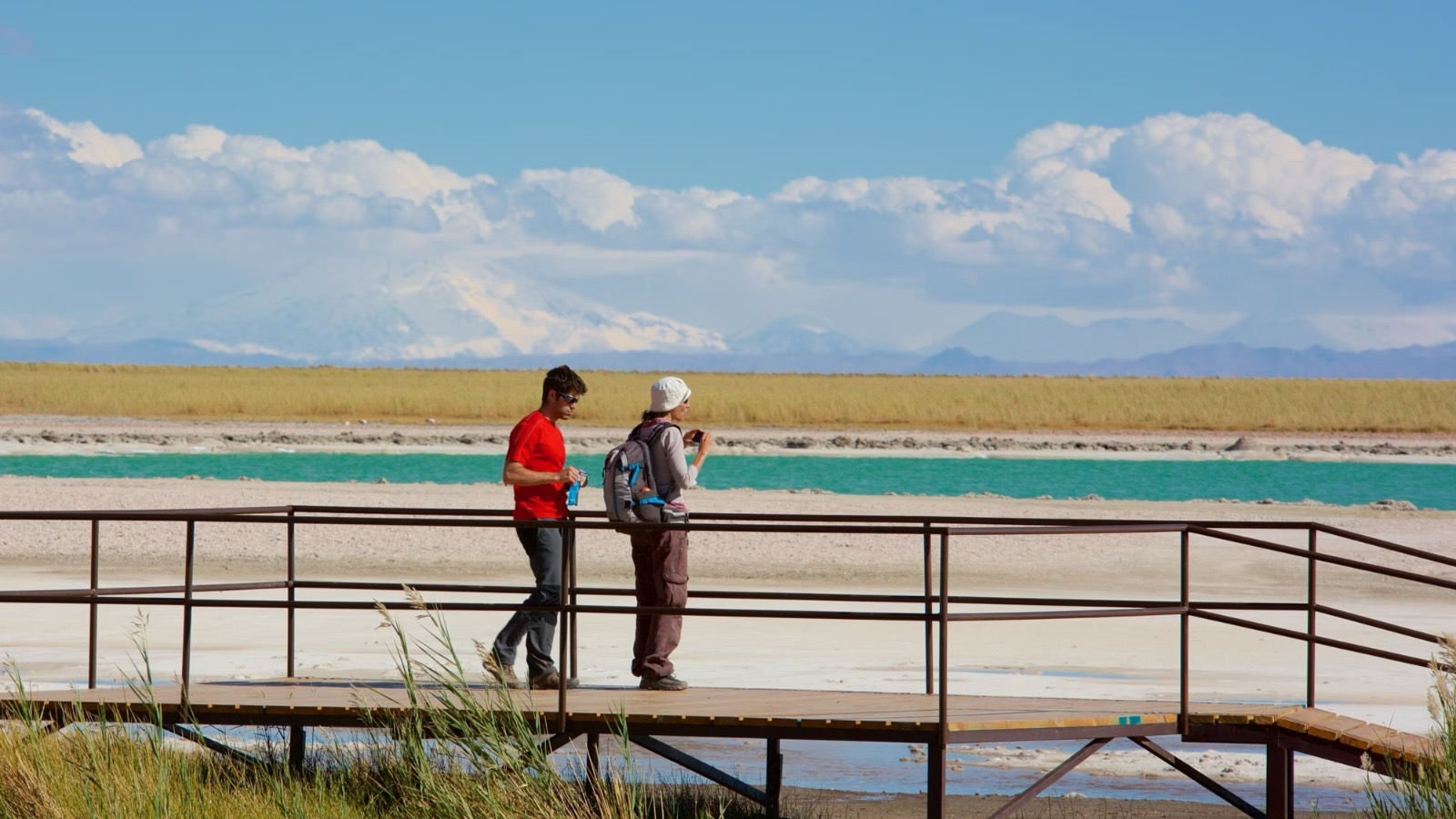 Laguna cejar