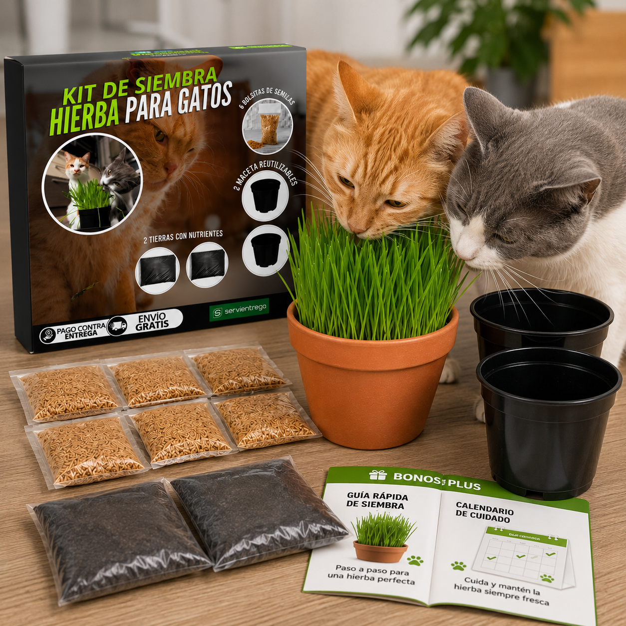 Hierba Para Gatos
