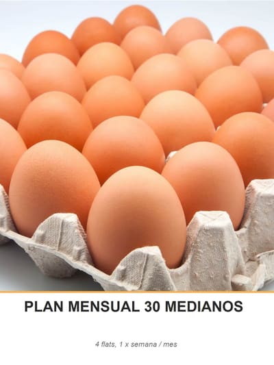 PLAN MENSUAL 30 MEDIANOS