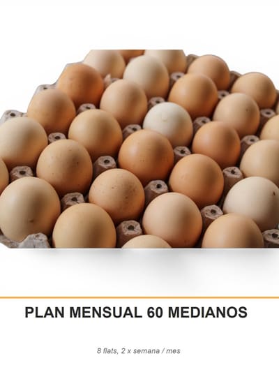 PLAN MENSUAL 60 MEDIANOS