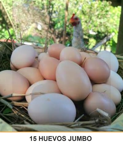 15 HUEVOS JUMBO