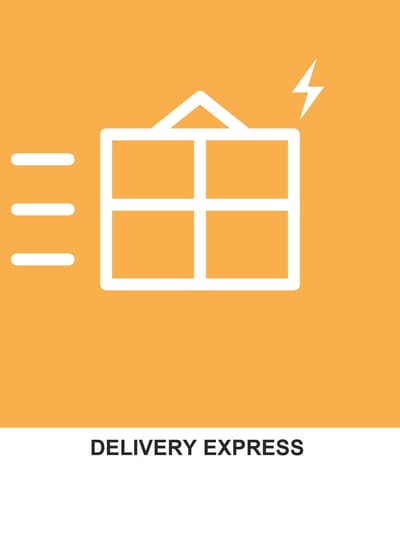 DELIVERY EXPRESS