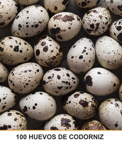 100 HUEVOS DE CODORNIZ