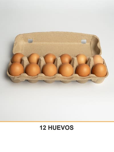 12 HUEVOS