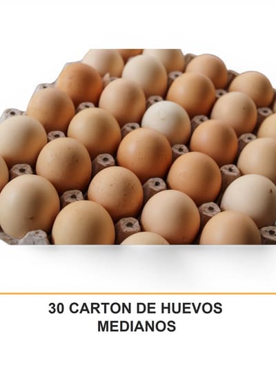 30 CARTON DE HUEVOS MEDIANOS