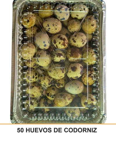 50 HUEVOS DE CODORNIZ