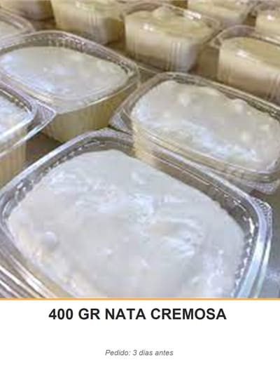400 GR NATA CREMOSA