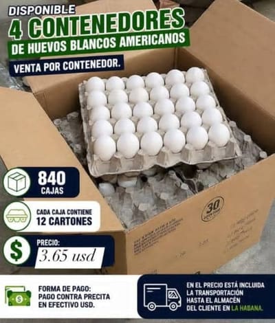 Huevos Blancos Americanos venta por contenedor cada caja contiene 12 cartones