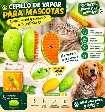Cepillo masajeador a vapor