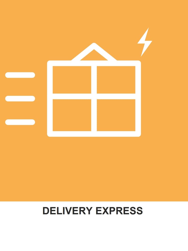 DELIVERY EXPRESS