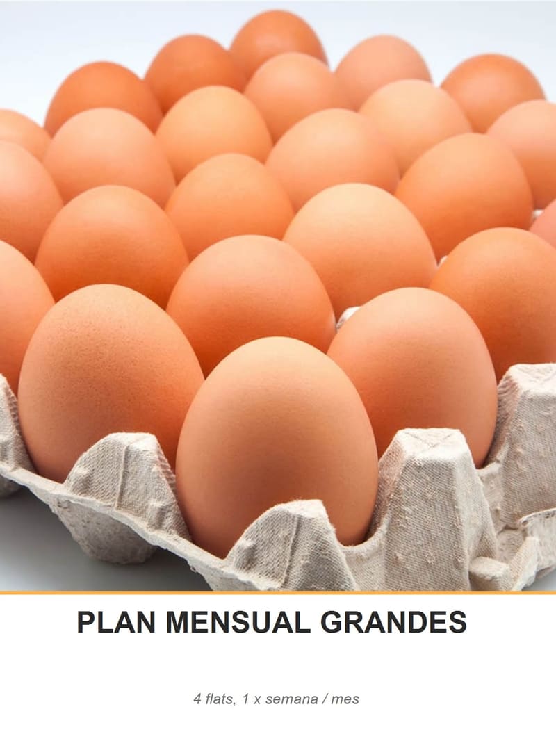 PLAN MENSUAL GRANDES