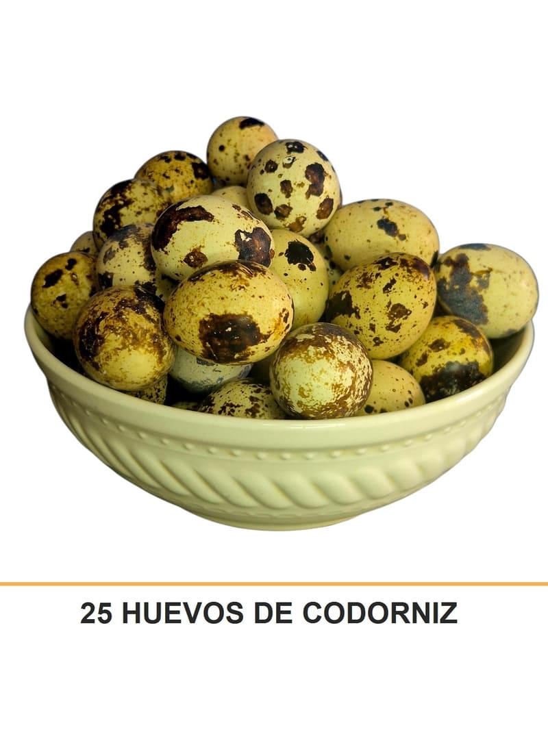 25 HUEVOS DE CODORNIZ